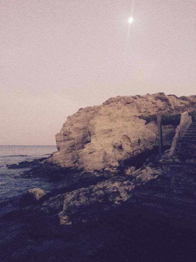 El Jardin De La Isleta Daire La Isleta del Moro Dış mekan fotoğraf